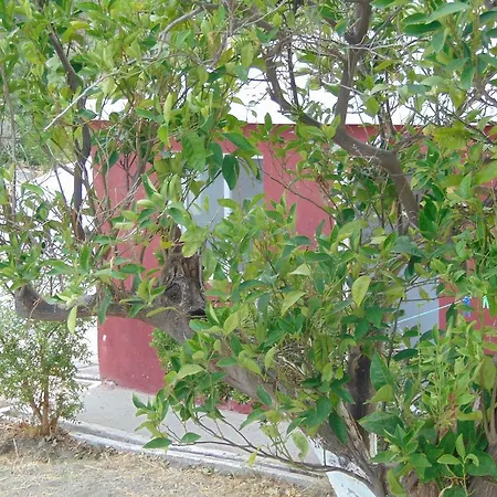 Danezis Art Mansion 1848 卡尔帕索斯